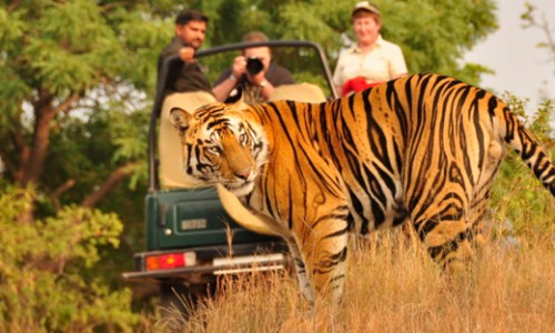 Corbett Package By Pvt. Car Tour