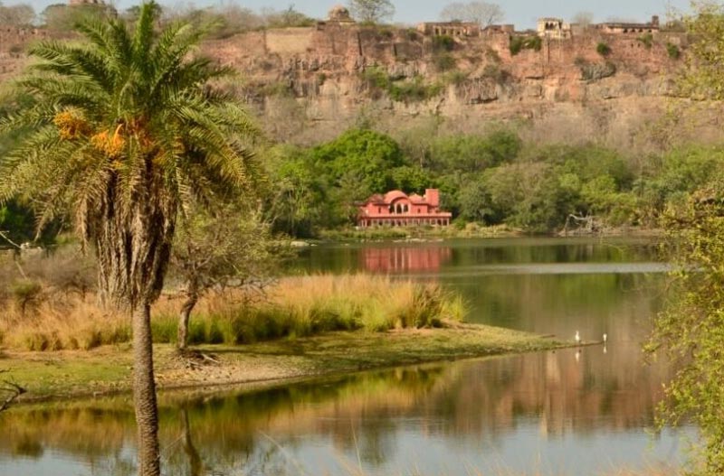 Jaipur with Ranthambhore Tour