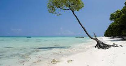 Andaman with Neil Island Package