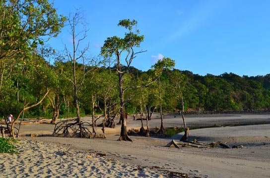 Andaman with Neil Island Package