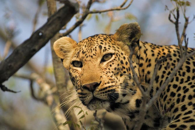 13 Days Uganda Adventure Safaris