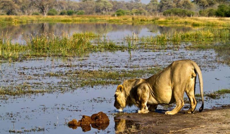 10 days Safari in Uganda