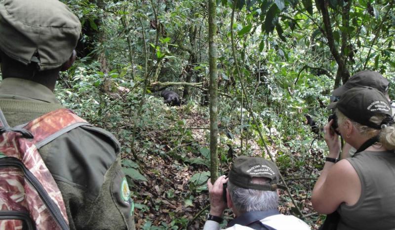 10 days Safari in Uganda