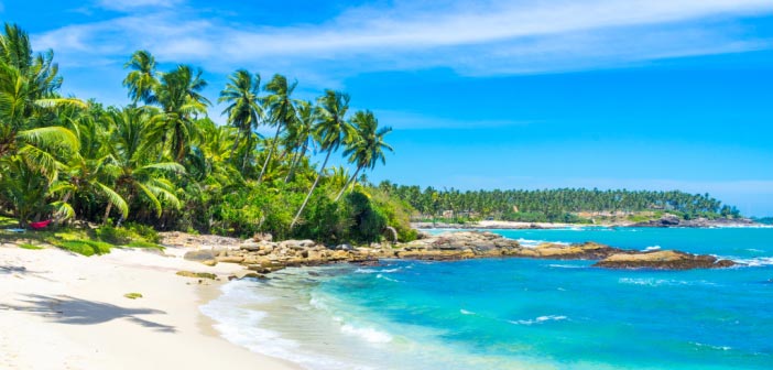 Goa Super Sever Grand Offer Tour