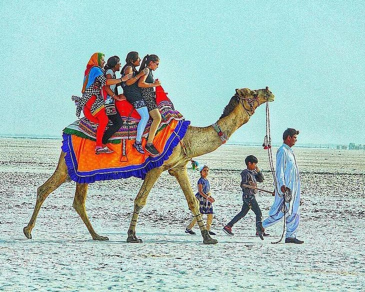 Gujarat Lion Safari Tour