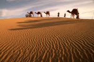 Desert Beach Tour Of Gujarat