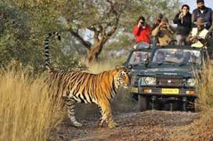 Chittor With Ranthambore Tour