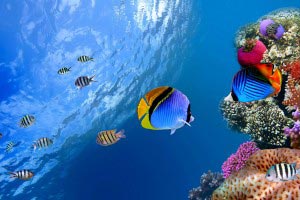 Thailand & Malaysia - Singapore Package