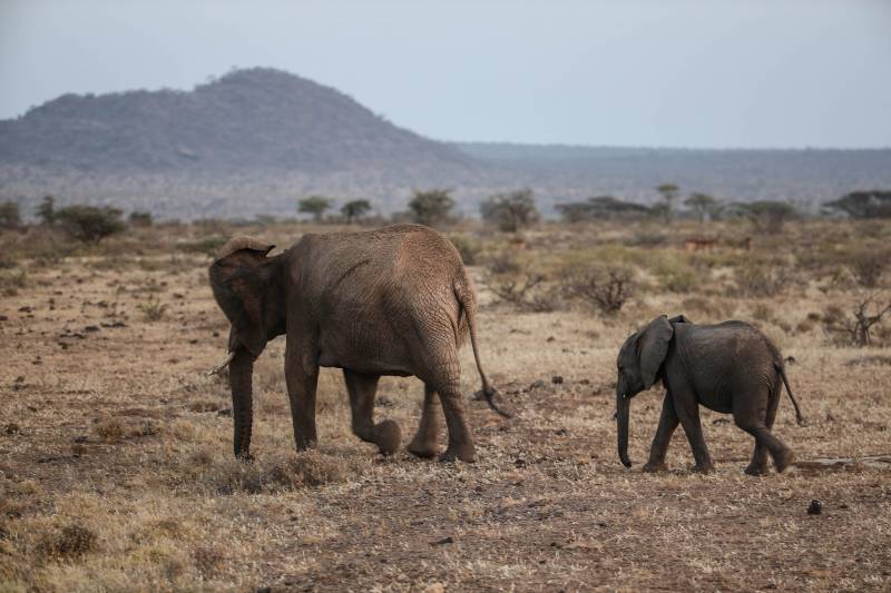 3 Days Azure Masai Mara Road Safari Tour