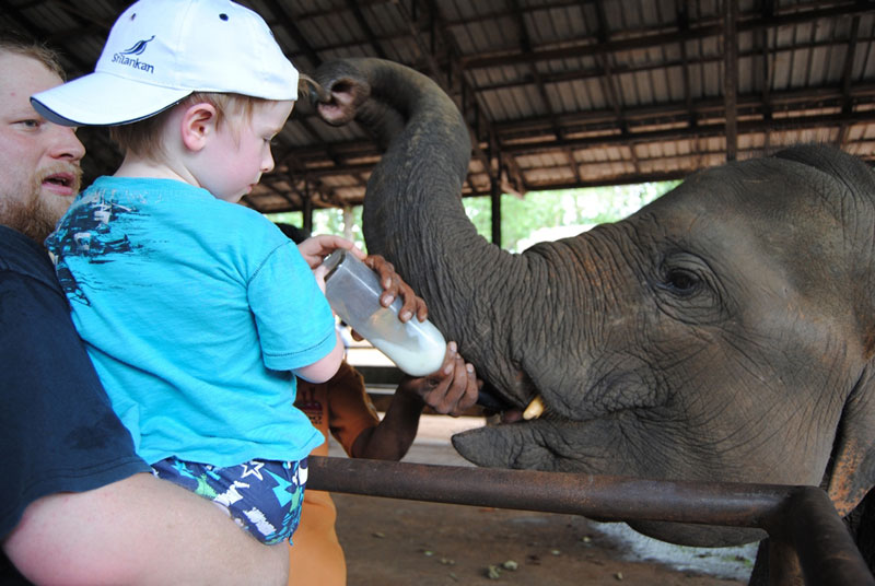 Heritage Expedition - Cultural Tour