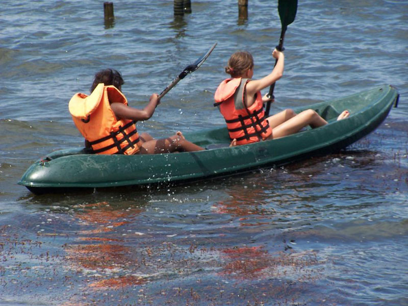 Horse Power to Muscle Power - Soft Adventure Tour