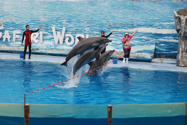 Thailand Voyage Tour