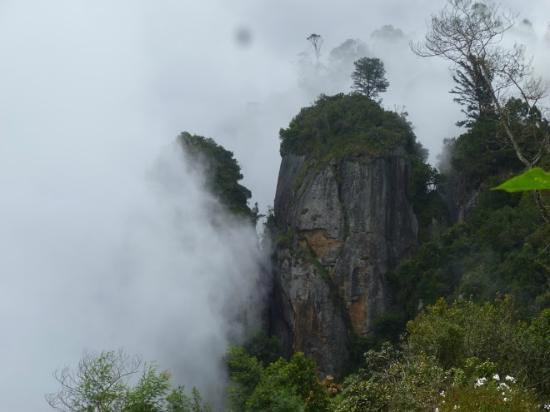 Garden of South India Tour