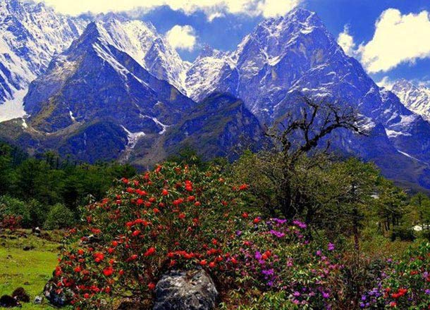 Beauty Of North Sikkim Tour