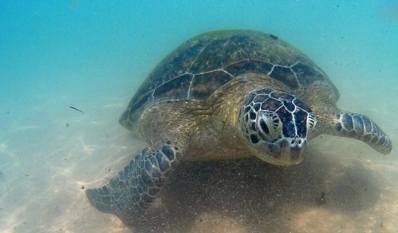 Srilanka Tour - Awesome Lanka