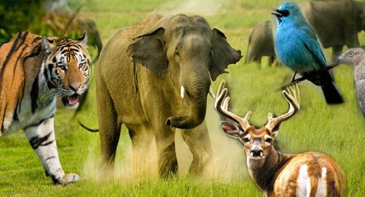 Explore Uttarakhand Tour