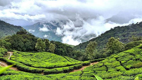 Monsoon Kerala Package