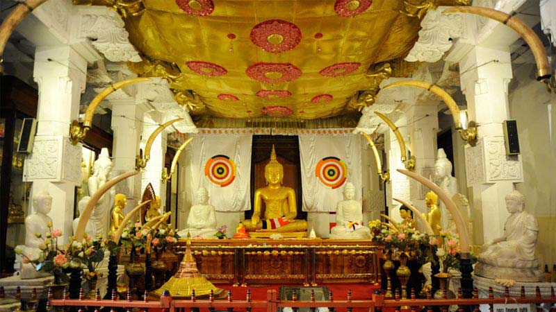 Refreshing Srilanka Tour