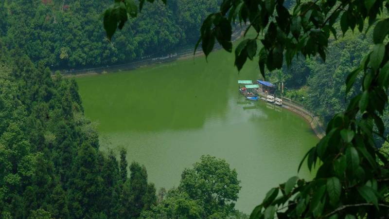 Emerald North Bengal with Nature of Sikkim Tour