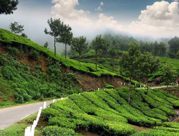 05 Days Kerala Tour Package