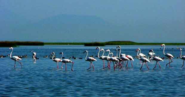 04 Days Puri Bhubaneswar Konark Tour Package