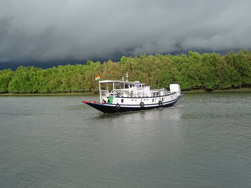 Sundarban Tiger Camp Tour