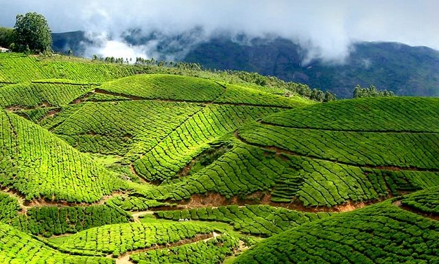 07 Days Prime Kerala Tour