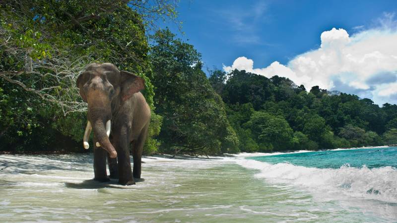 07 Days Splendid Andaman