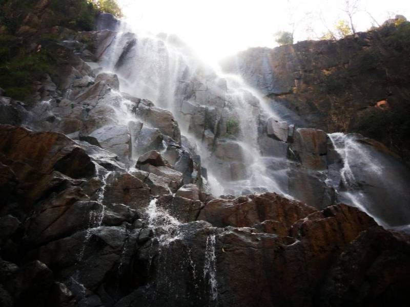 04 Days Ranchi Betla Netarhat Tour Package