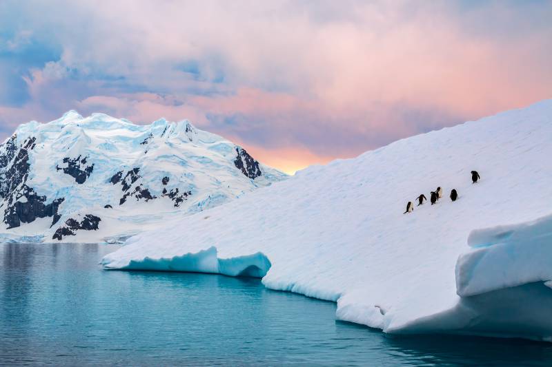 Antarctica Expedtion Cruise