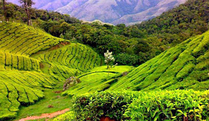 Coorg Tour Package From Kolkata