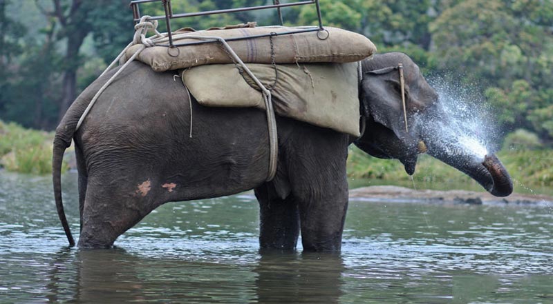 Coorg Tour Package From Kolkata