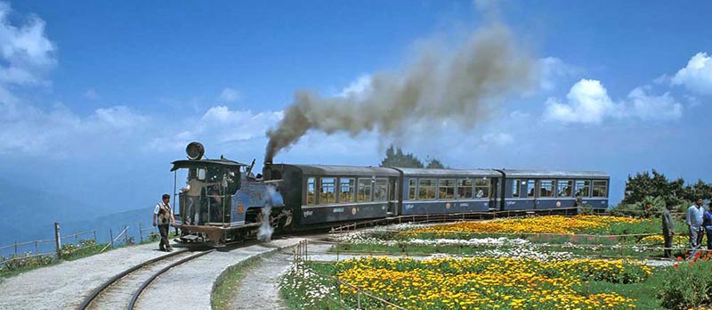 Darjeeling Gangtok 6N 7D Tour