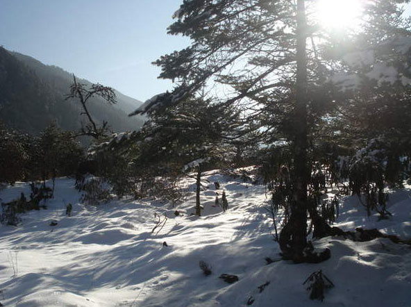 Darjeeling Gangtok 6N 7D Tour