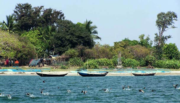 Odisha unforgettable Honeymoon Package