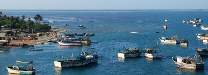 South India Tour (4 Nights 5 Days)