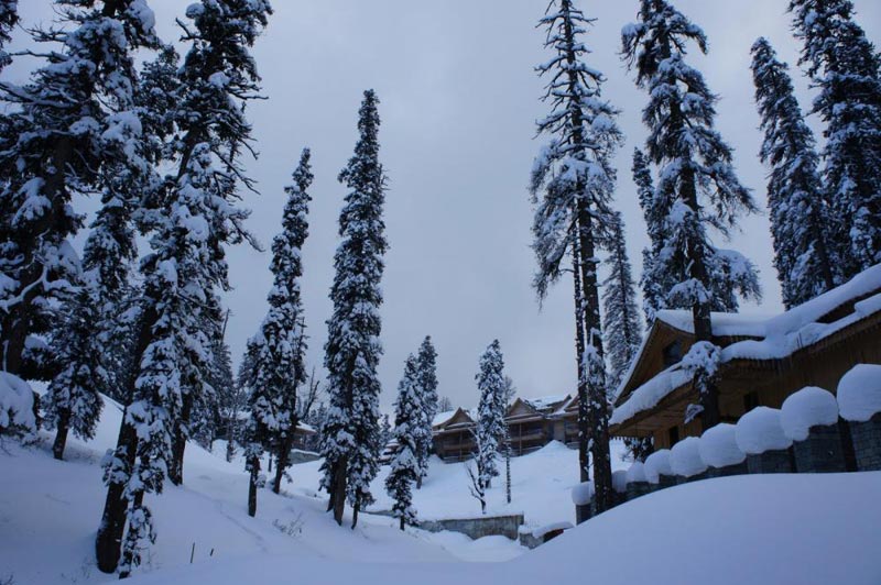 Srinagar - Gulmarg - Pahalgam Package