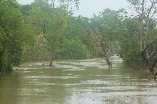 Winter Odisha Package