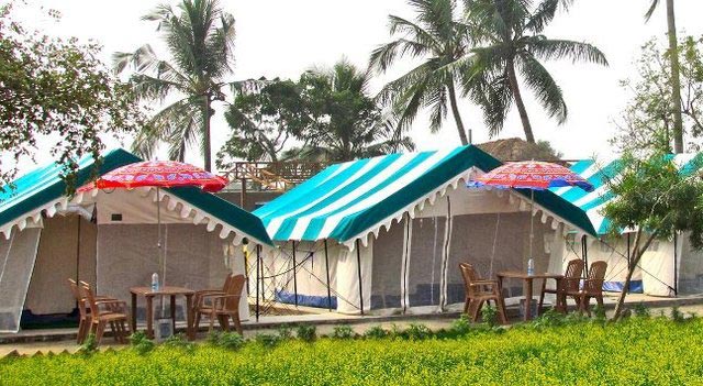 Winter Odisha Package