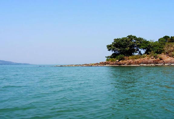 Winter Odisha Package