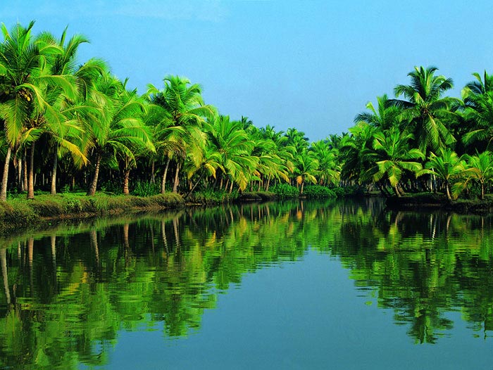 5 N 6 D Honeymoon package (Munnar - Thekkady - Alleppey Houseboat - Cherai Beach) Tour