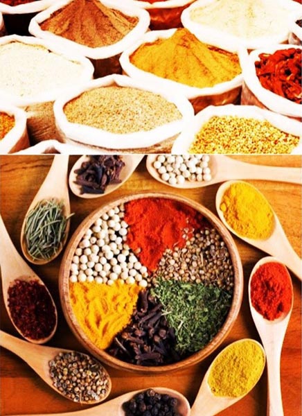 Safari Tanzania & Zanzibar Tour