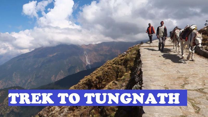 Chopta – Deoriatal - Tungnath Trek Tour