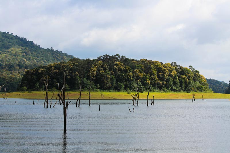 Kerala Delights Tour