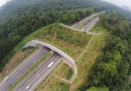 Excited North East Tour