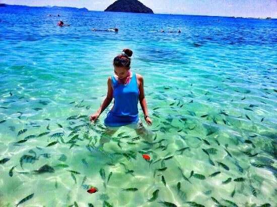 Amazing Thailand Tour