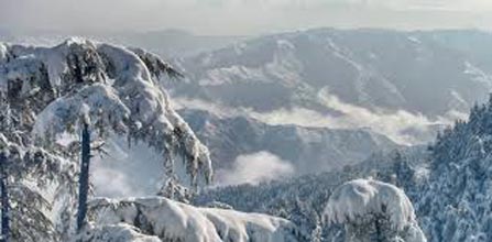 Shimla Tour Package