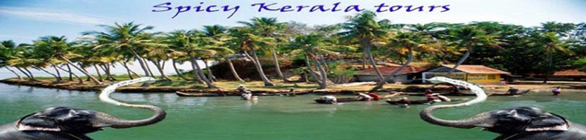 Explore Kerala  Tour