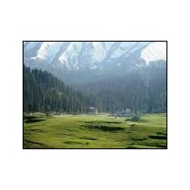 Srinagar - Pahalgam - Gulmarg Nature Paradise Tour