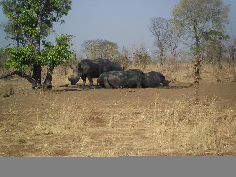 7 Days 6 Nights Livingstone – Victoria Falls, Zambia, and Chobe National Park and Okavango Delta T